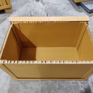 WhatsApp Image 2023-09-15 at 08.29.18 (5)